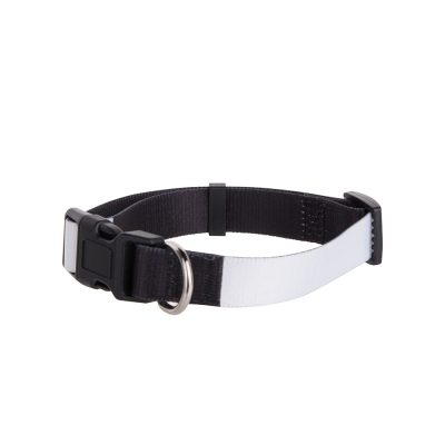 Collier de chien (petit)
