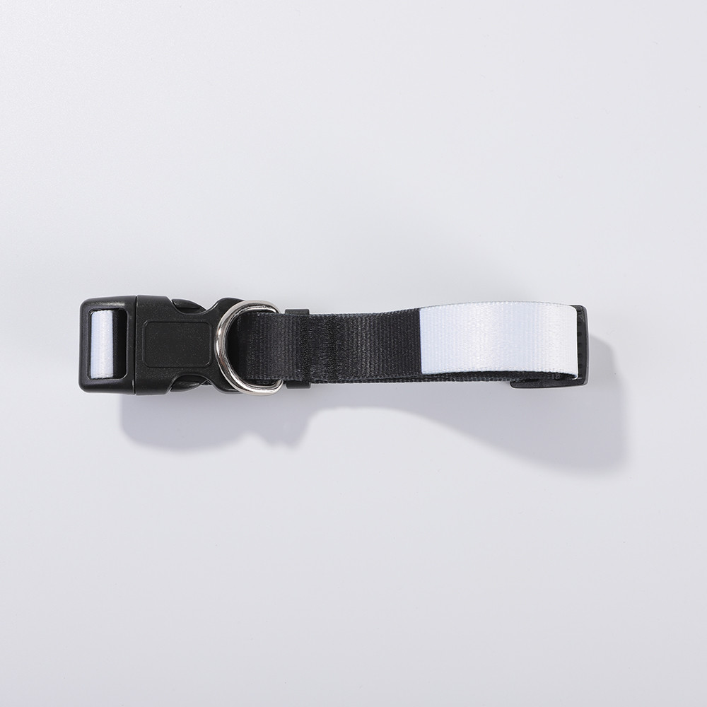 Collier pour chien (moyen, 2,5 x 56 cm)