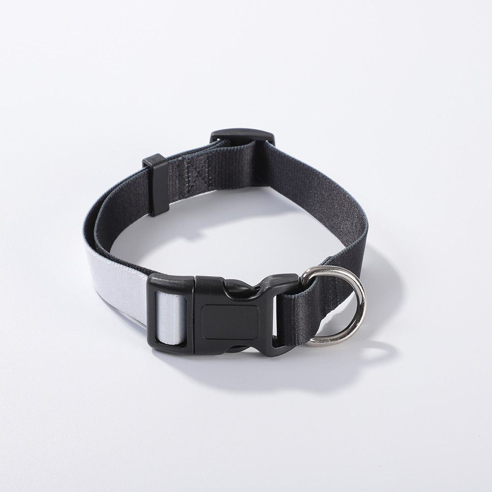 Collier pour chien (moyen, 2,5 x 56 cm)