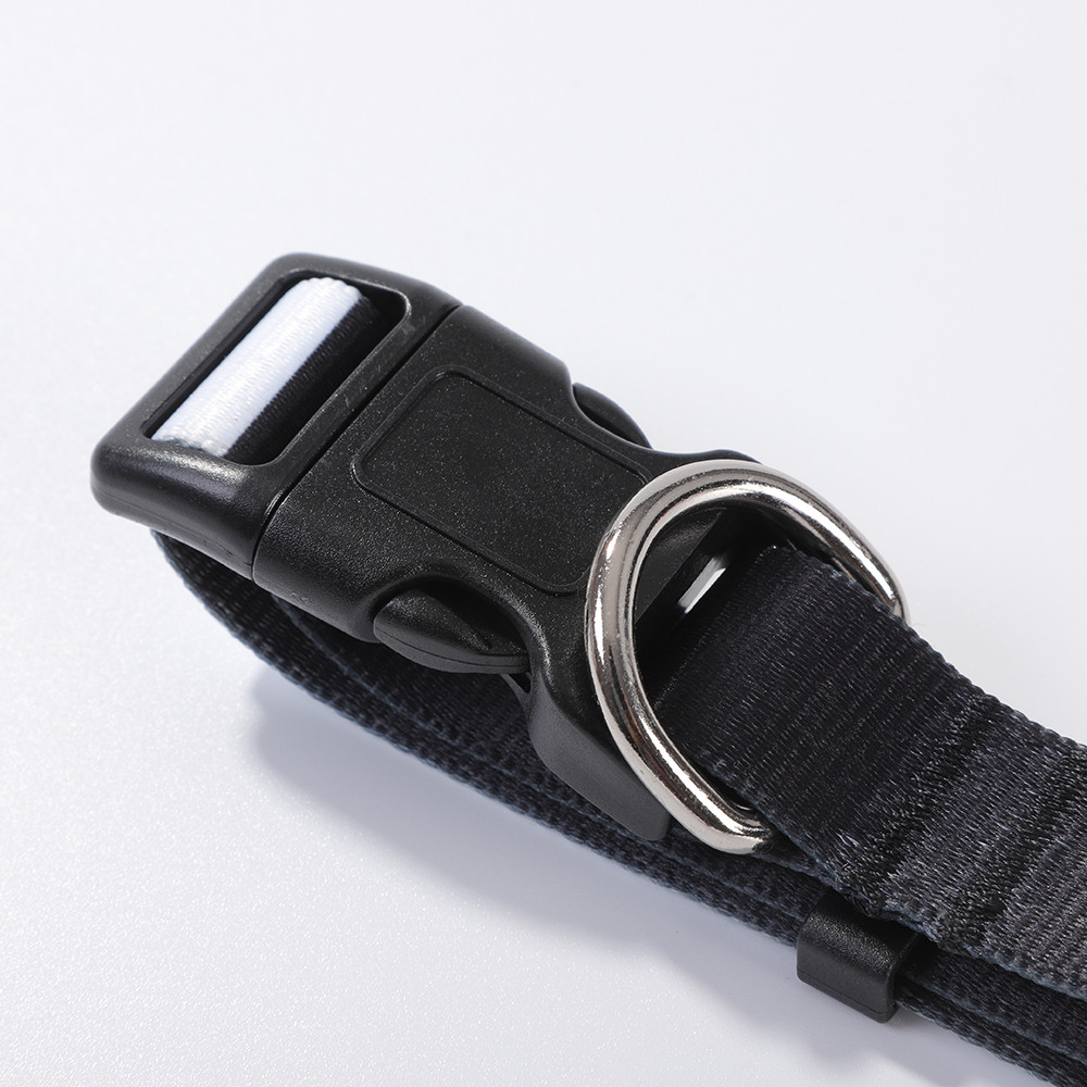 Collier pour chien (moyen, 2,5 x 56 cm)