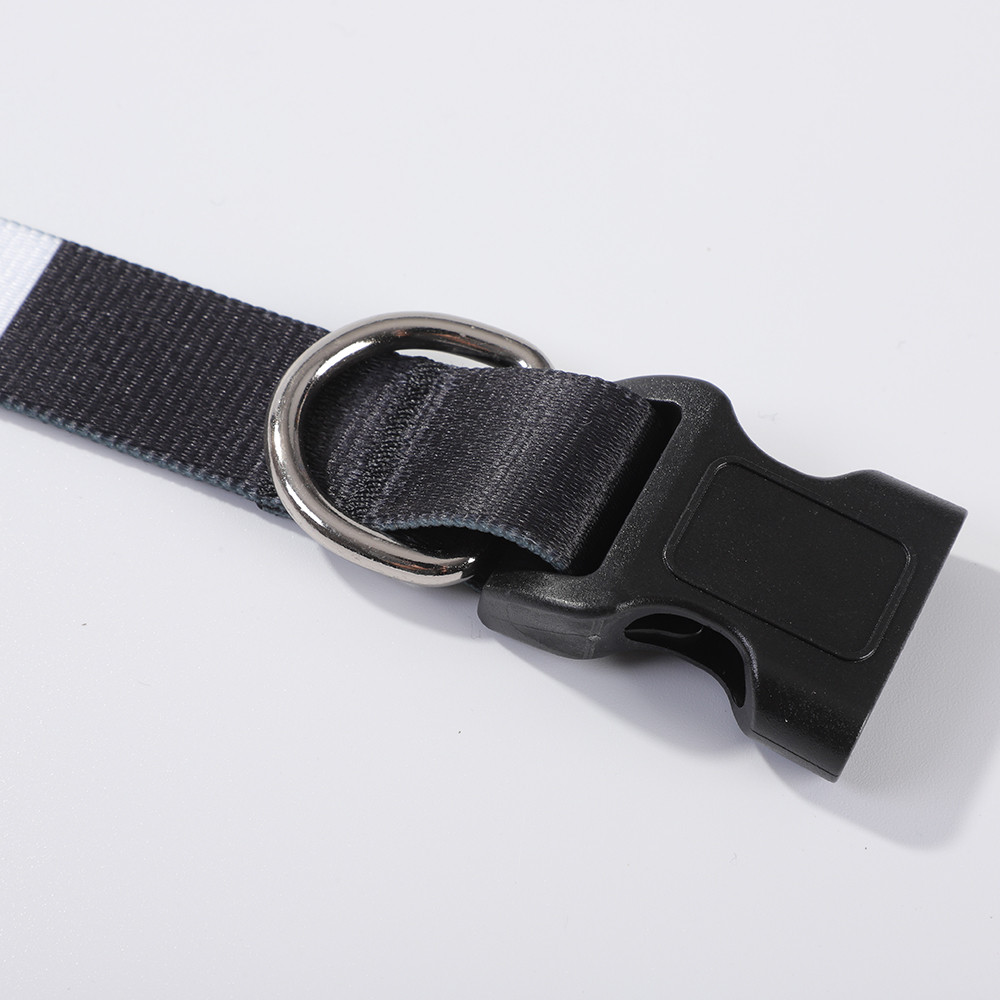 Collier pour chien (moyen, 2,5 x 56 cm)