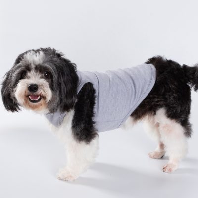 Accessoires animaux
